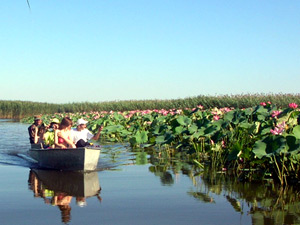 День Рыбака